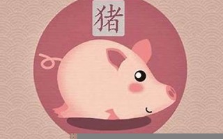 属猪(相克相冲)