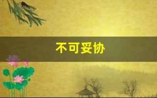 不可妥协(不可妥协的责任)