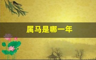 属马是哪一年(80后属马是哪一年的)