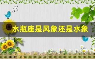 水瓶座是风象还是水象(白羊座是风象还是水象)