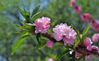 5月6号(5月6号出生是什么星座)