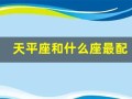 天平座和什么座最配(天平座和什么座配对)