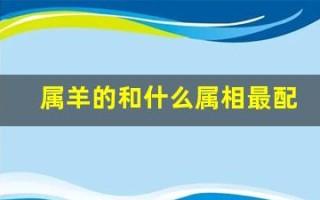属羊的和什么属相最配(属鸡的和什么属相最配)