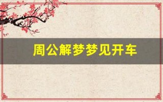 周公解梦梦见开车(梦到买车了周公解梦)