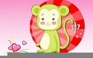 属猴2023年整体运势(属猴人2023年运势及财运)