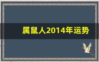属鼠人2014年运势(2014年的鼠)