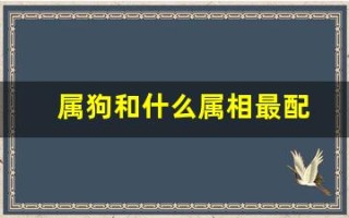 属狗和什么属相最配