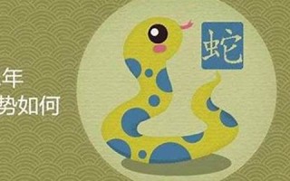 属蛇今年的运程(属蛇今年的运程财运)