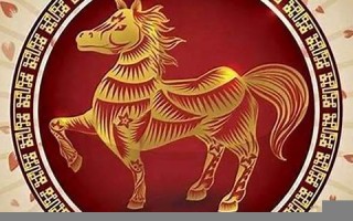 属马的和什么属相最配(属猪男和属马的女相配吗)