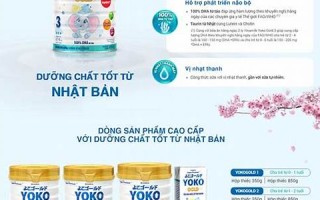 a型血的人性格(A型血的人性格特征分析)