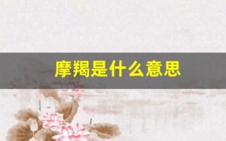 摩羯是什么意思(婚神摩羯是什么意思)