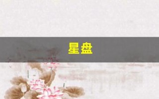星盘(星盘测算)