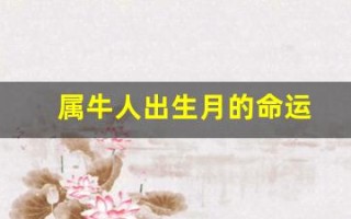 属牛人出生月的命运(属羊5月份出生的命运怎么样)