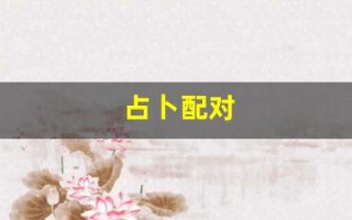 占卜配对(配对算卦)