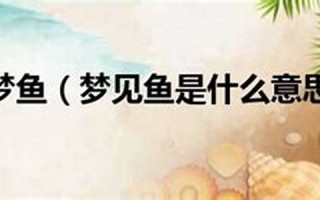 周公解梦鱼