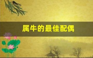属牛的最佳配偶(96年属牛的最佳配偶)