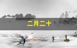 二月二十(二月二十一日是什么星座)