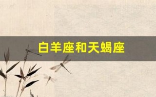 白羊座和天蝎座(白羊座和天蝎座合不合适在一起)