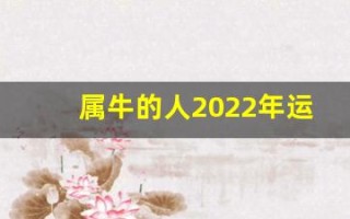属牛的人2022年运势及运程(属牛的人2022年运势及运程如何)