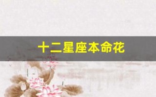 十二星座本命花(十二星座本命花简笔画)