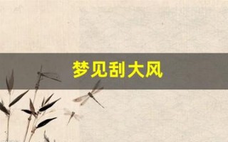 梦见刮大风(梦见刮大风下大雪)