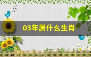 03年属什么生肖(96年属什么生肖)