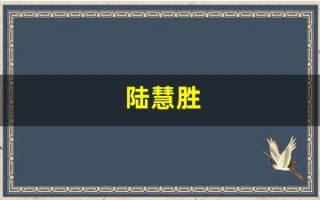 陆慧胜(陆慧胜 x man)